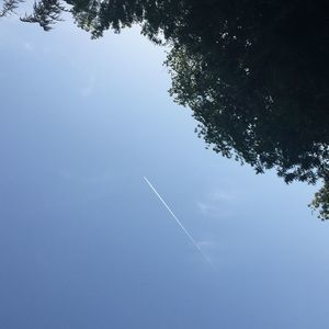 Meet your Posher, Rocio